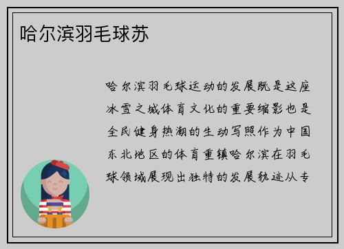 哈尔滨羽毛球苏