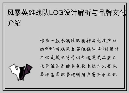 风暴英雄战队LOG设计解析与品牌文化介绍